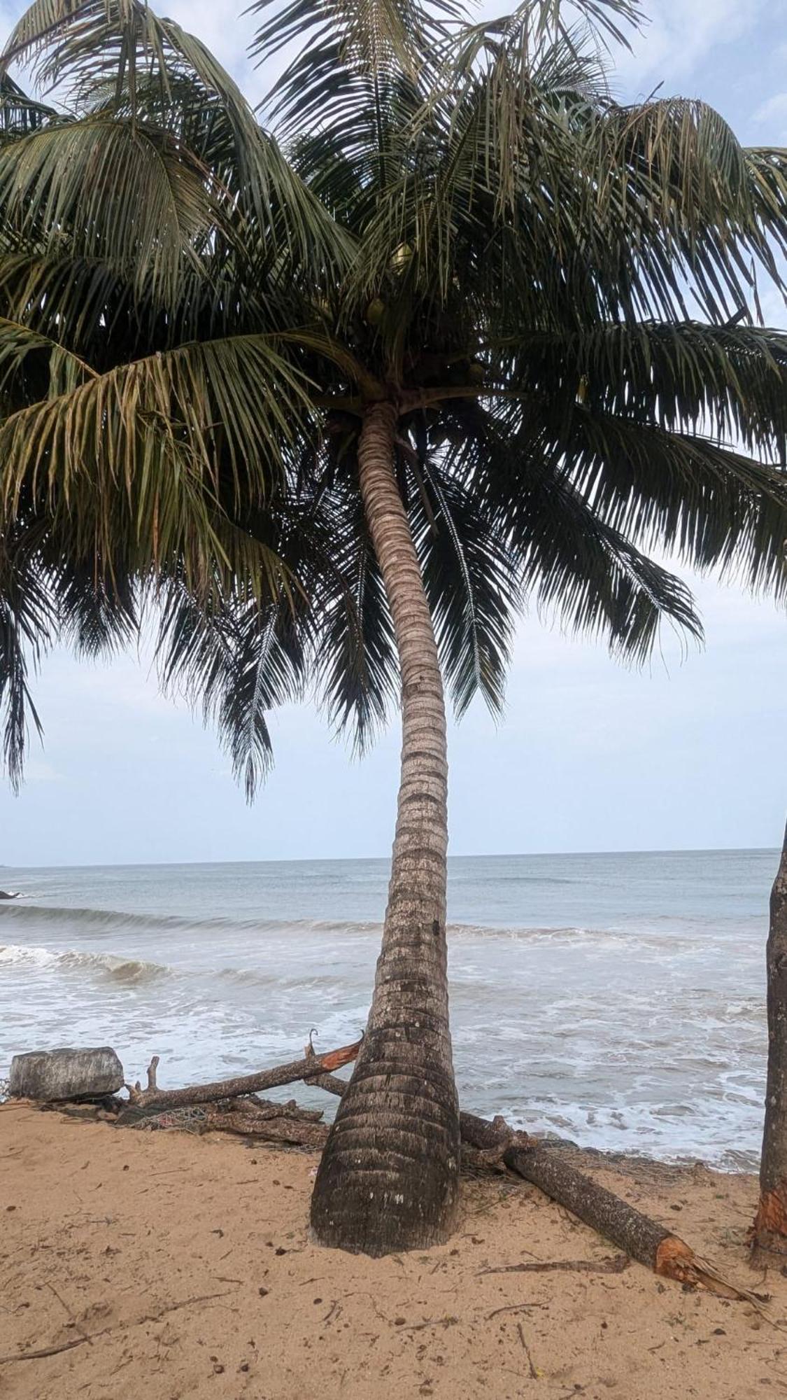 Chandi Gaya Beach Guesthouse Tangalle Exterior foto